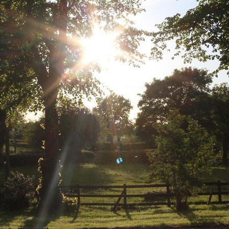 The Jockey Room Hideaway Spurstow Экстерьер фото